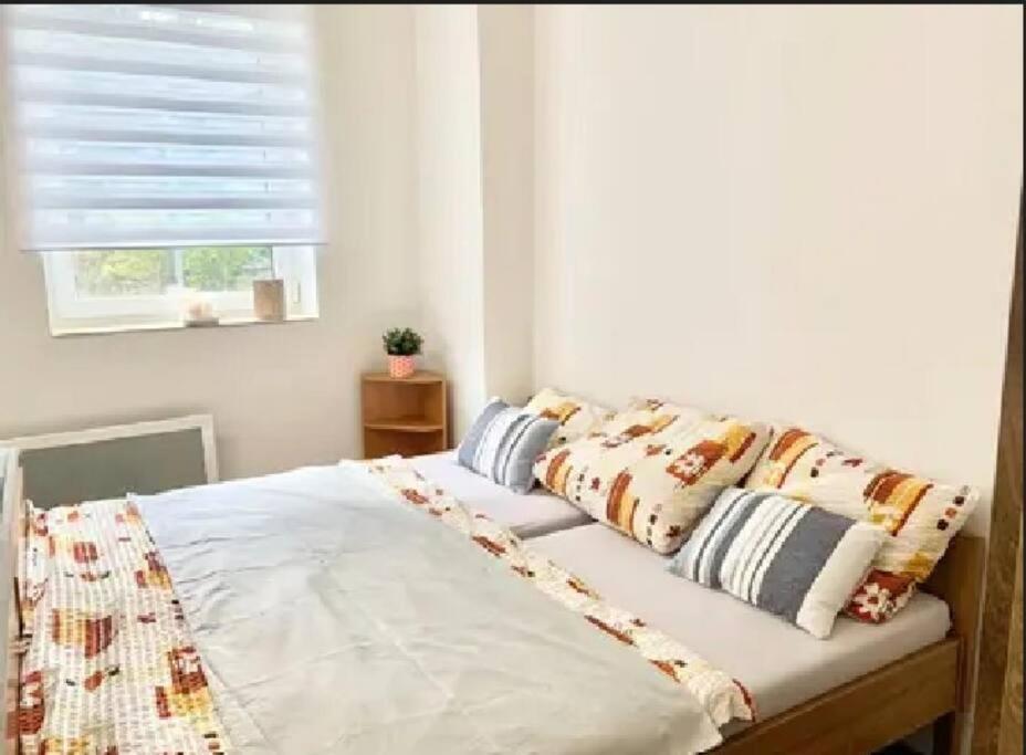 Utulny Byt V Jizerskych Horach -Apartman Mili Корженов Экстерьер фото